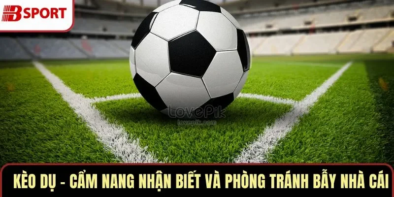 Kèo Dụ – Cẩm Nang Nhận Biết Và Phòng Tránh Bẫy Nhà Cái