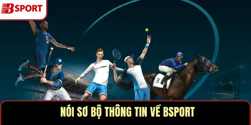 Nói sơ bộ thông tin về BSPORT