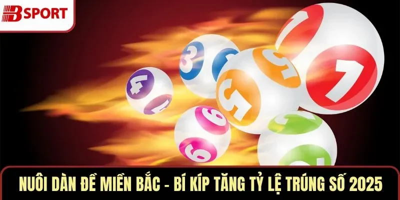 Nuôi Dàn Đề Miền Bắc – Bí Kíp Tăng Tỷ Lệ Trúng Số 2025